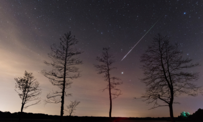A shooting star streaks through the night sky behind tree sillouettes